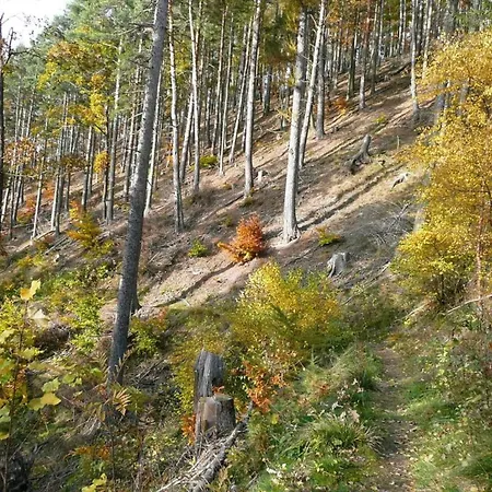 Cozy Wooden House In Waltershausen Near The Forest Сasa de vacaciones