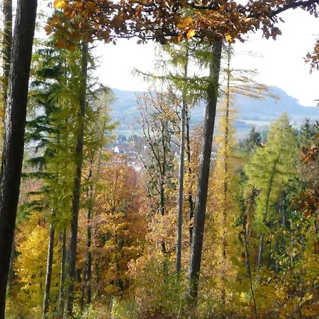 Cozy Wooden House In Waltershausen Near The Forest *