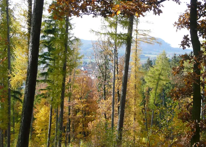 Cozy Wooden House In Waltershausen Near The Forest