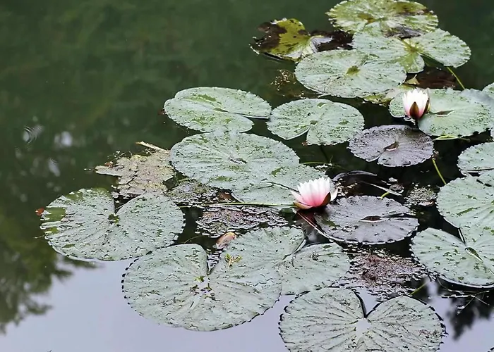 Cozy Wooden House In Waltershausen Near The Forest בית נופש Emsetal