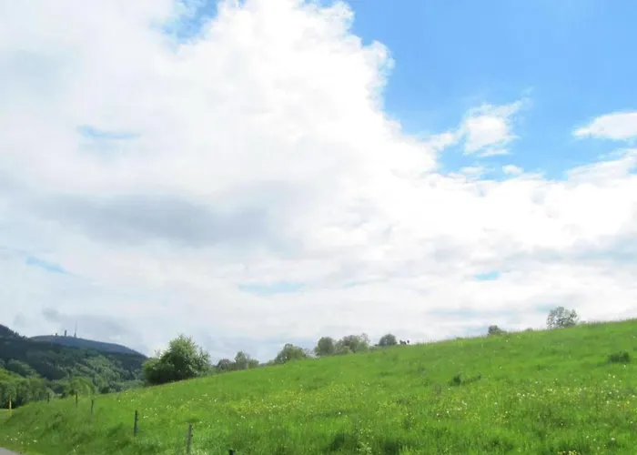 Cozy Wooden House In Waltershausen Near The Forest *