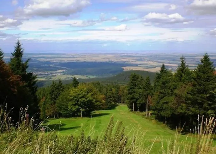 Cozy Wooden House In Waltershausen Near The Forest Emsetal