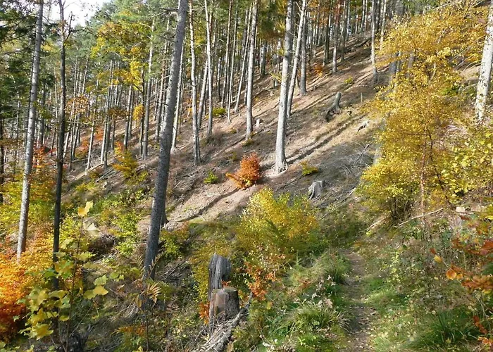 Cozy Wooden House In Waltershausen Near The Forest בית נופש