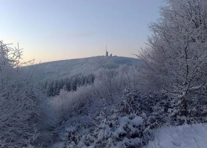 Cozy Wooden House In Waltershausen Near The Forest Emsetal